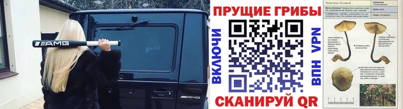 Галлюциногенные грибы прущие грибы Бабушкин