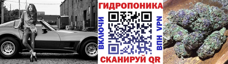 Канабис планчик наркота кракен маркетплейс Бабушкин